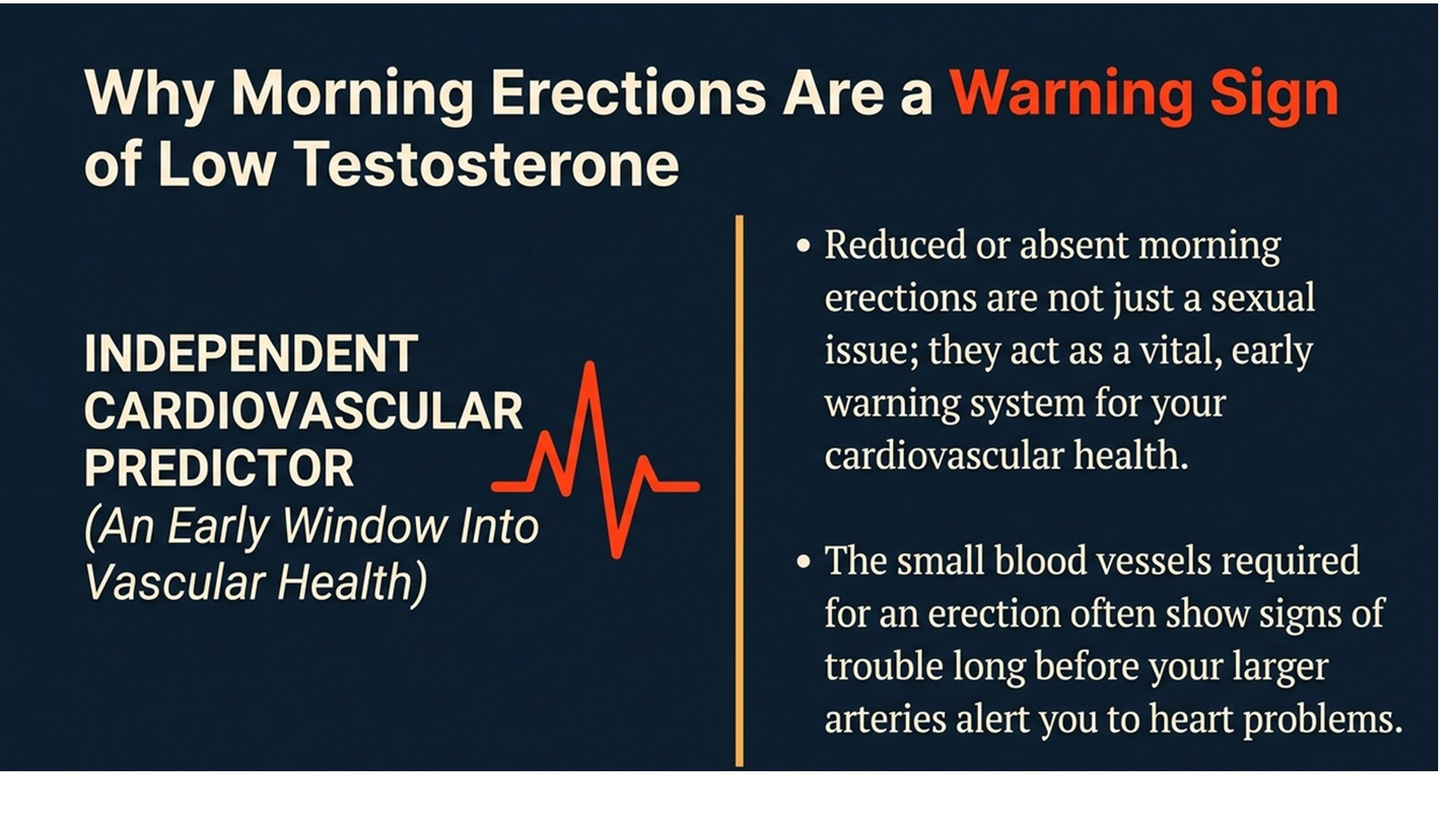 Why morning erections are an independent cardiovascular predictor and early warning system