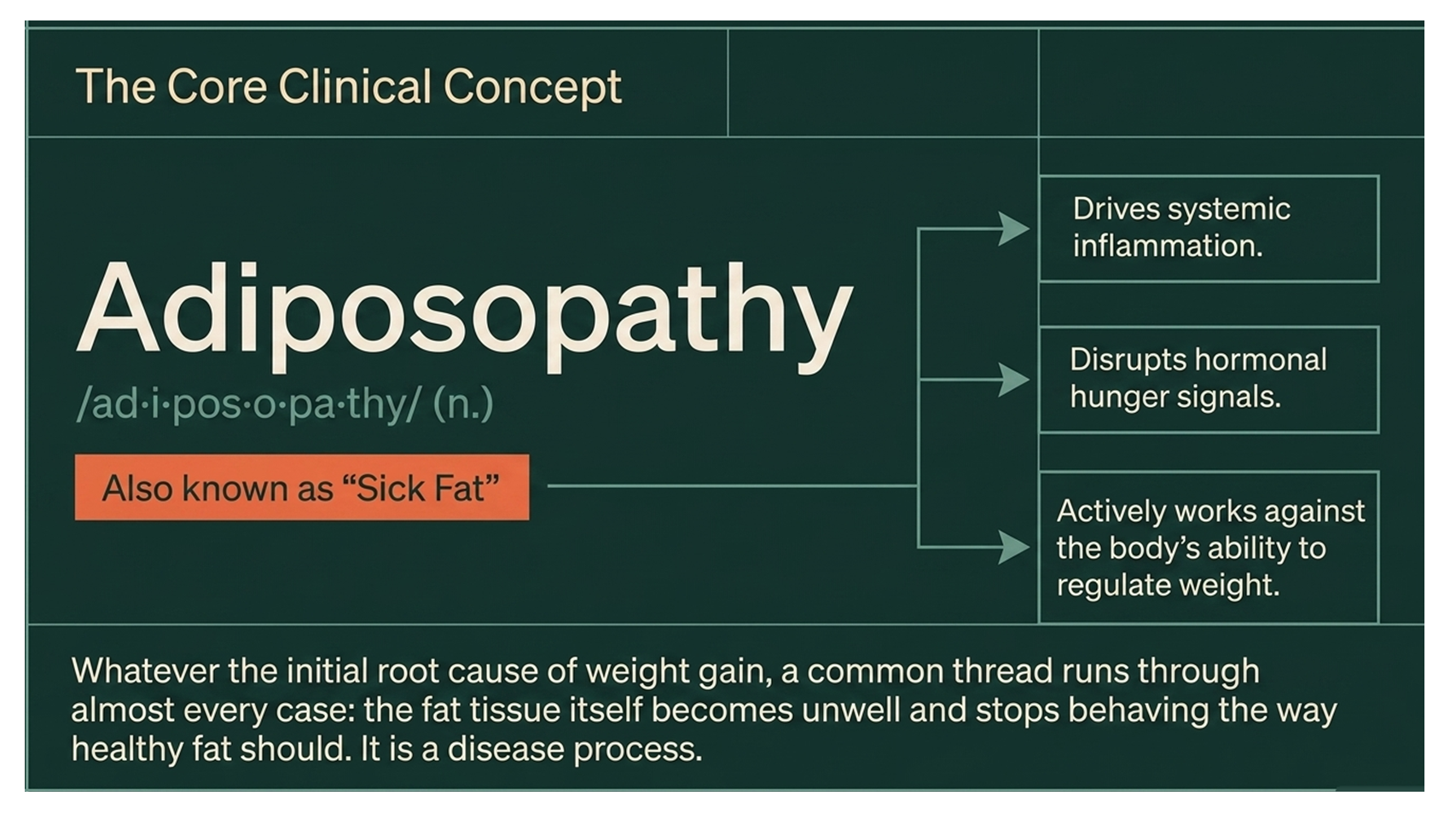 adiposopathy definition causes of obesity sick fat cells