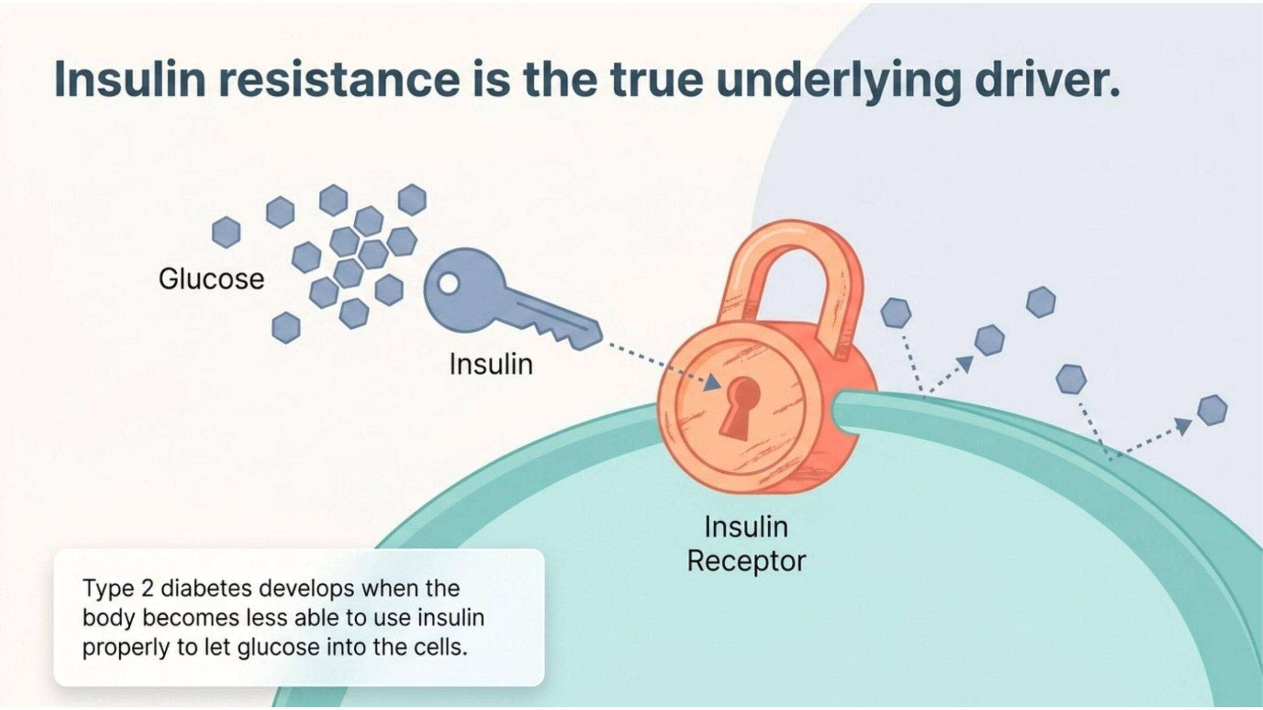 Insulin resistance is the true underlying driver