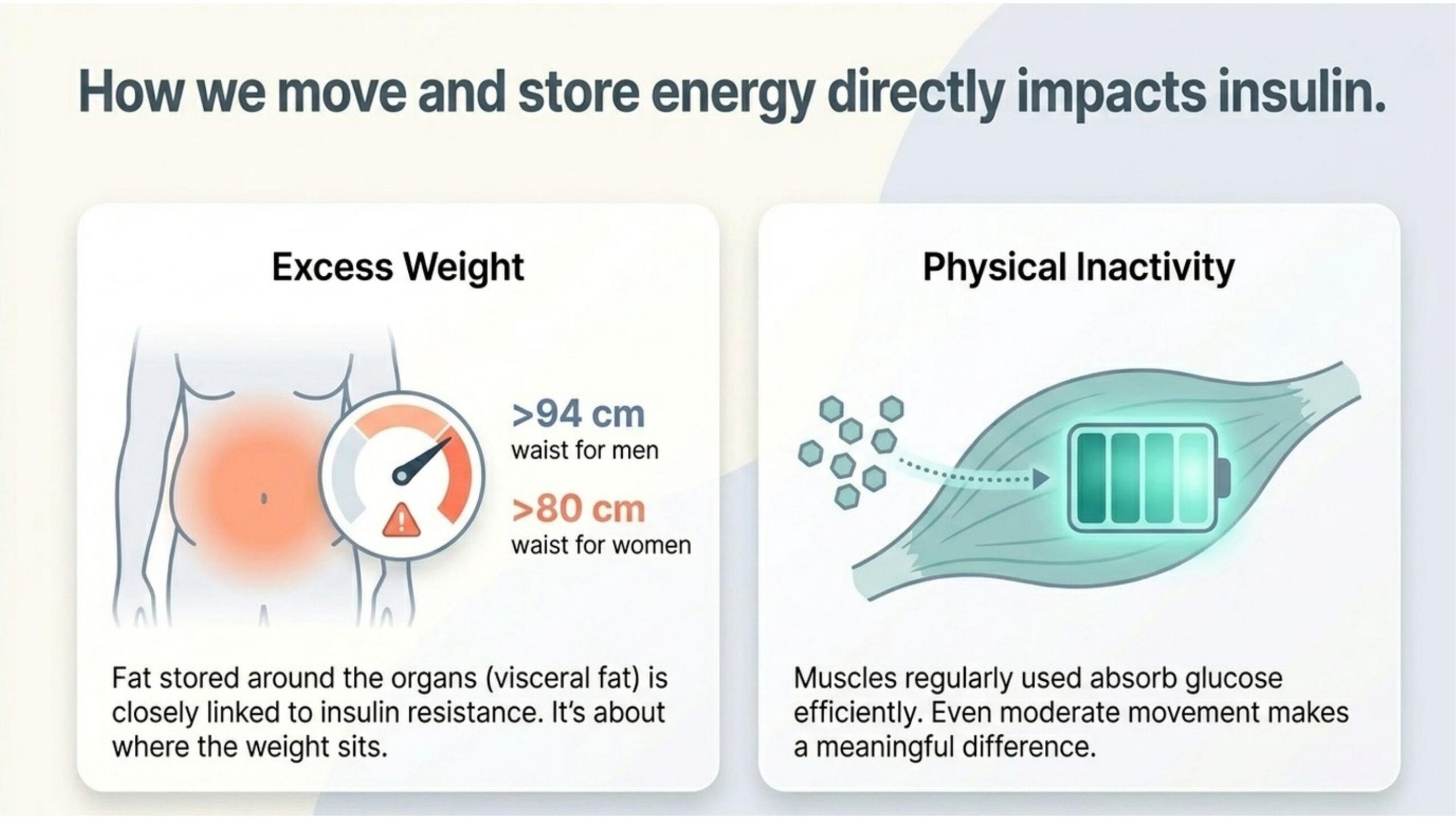 How we move and store energy directly impacts insulin