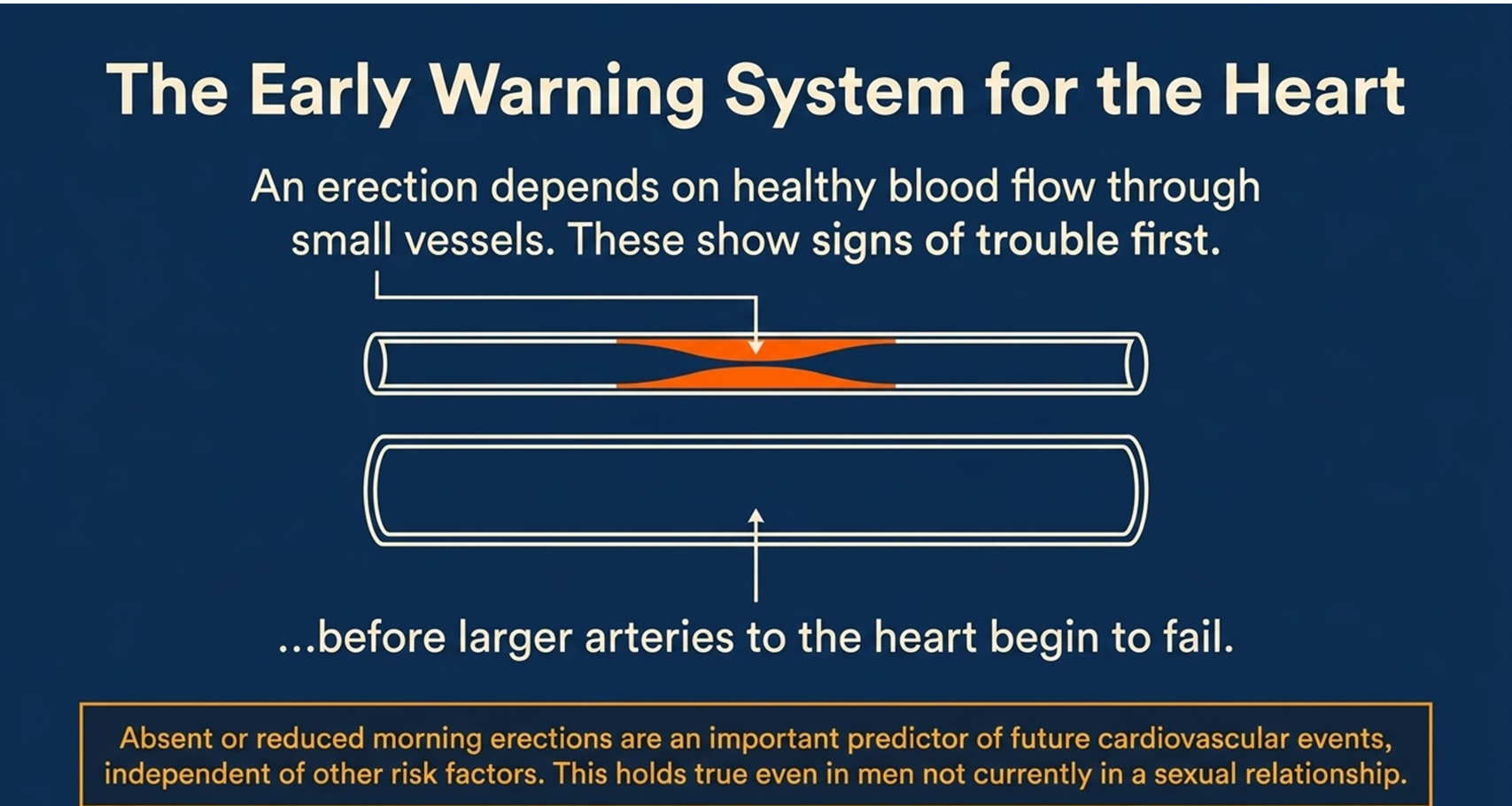 morning erections as an early warning system for heart health