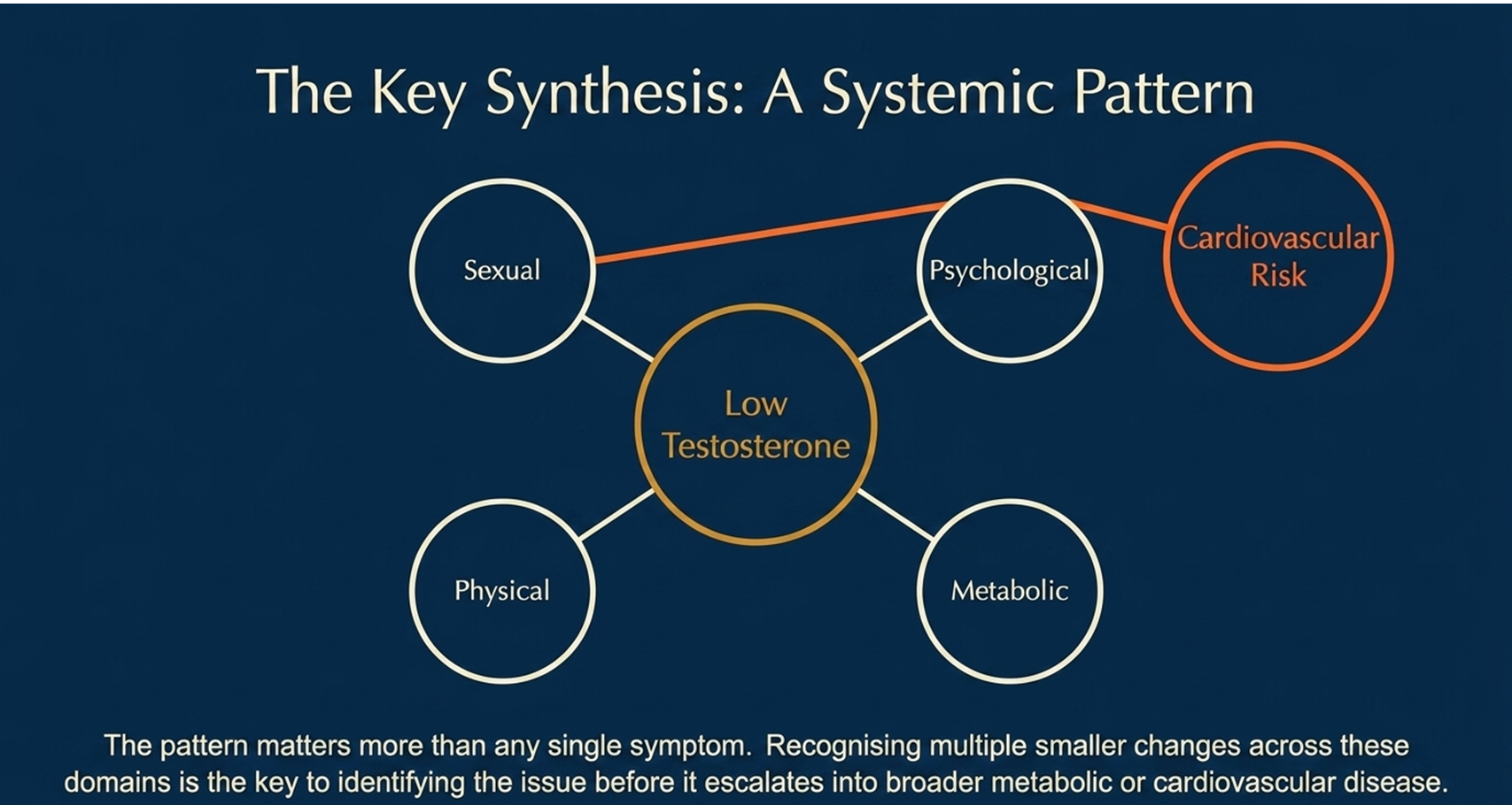 key synthesis, low testosterone as a systemic pattern
