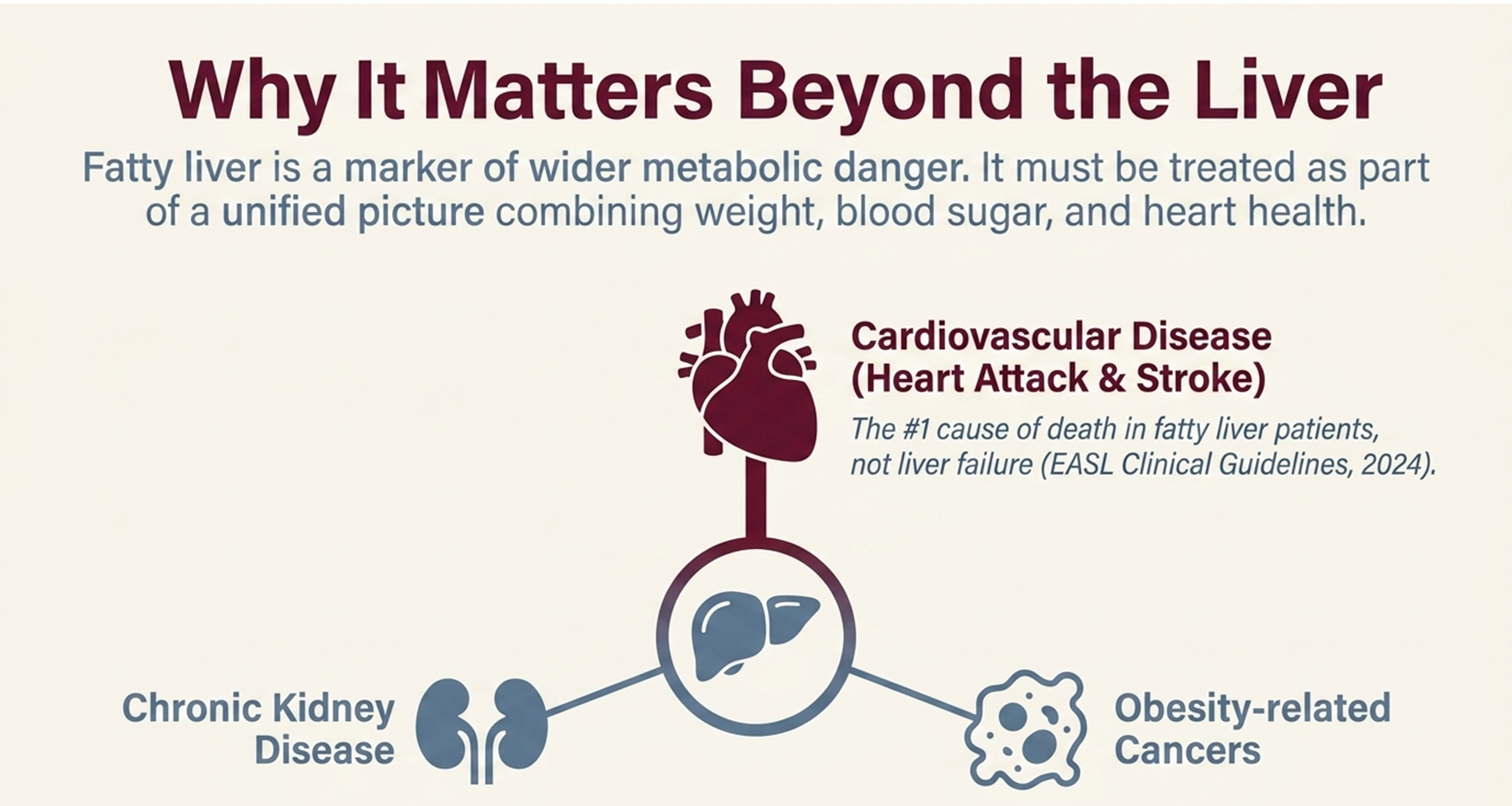 Why fatty liver disease matters beyond the liver, heart, kidney and cancer risk