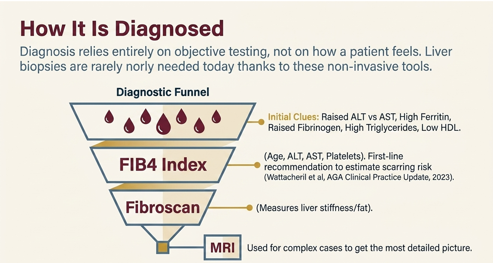 How fatty liver disease is diagnosed, FIB4 Index and Fibroscan