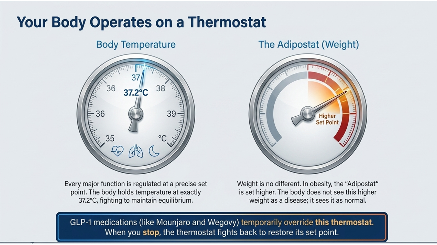 weight coming back after stopping injections body thermostat adipostat explained