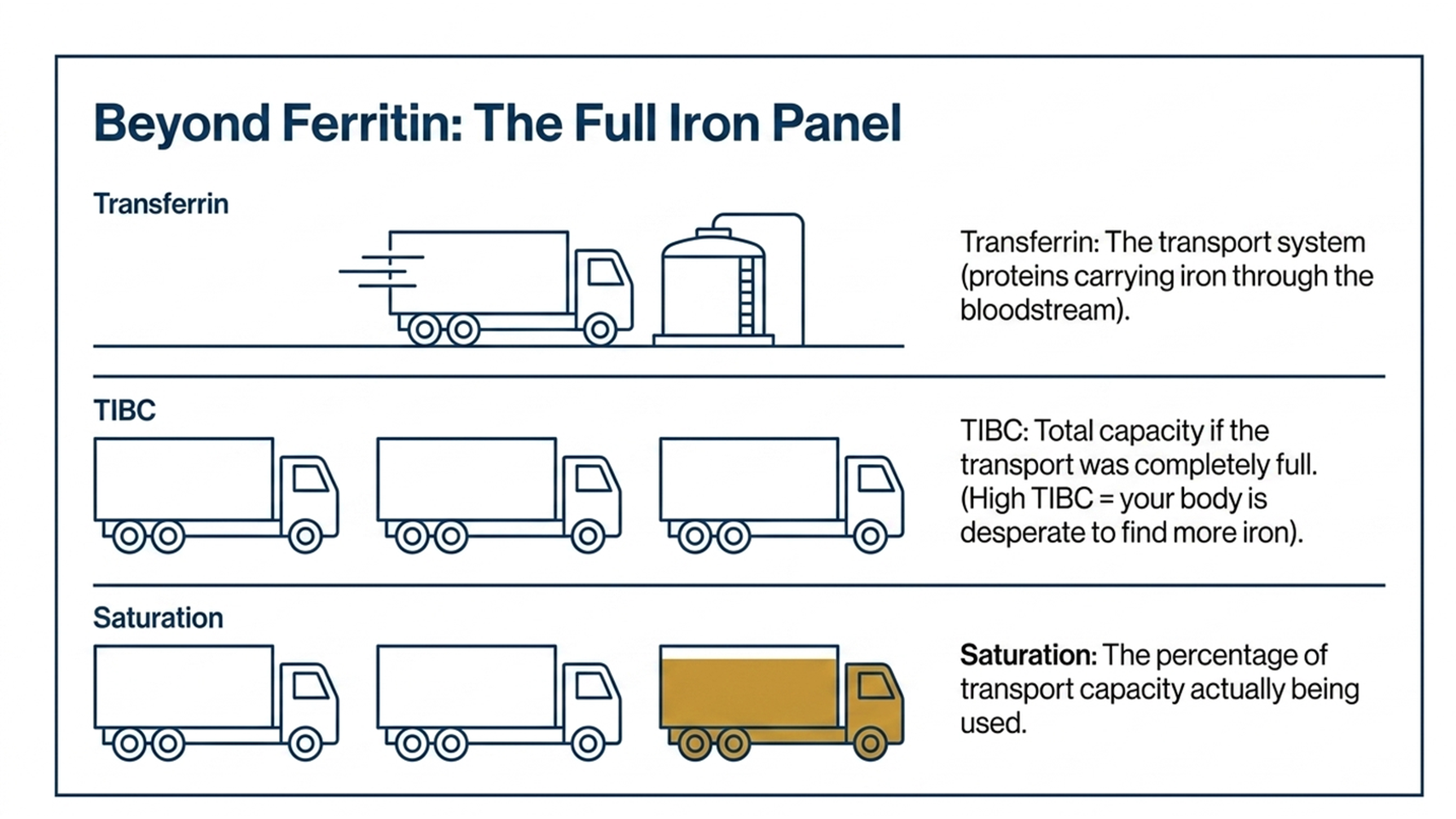 iron panel TIBC transferrin saturation explained