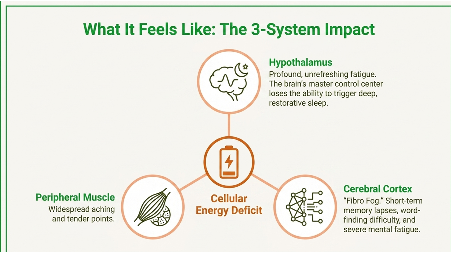 What fibromyalgia feels like, the three system impact