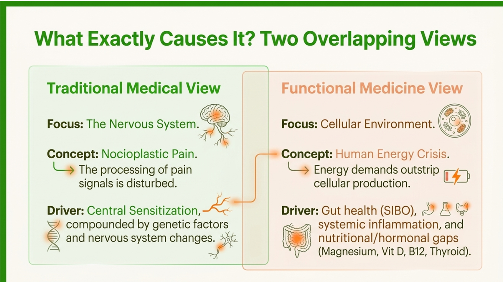 Causes of fibromyalgia, two overlapping views