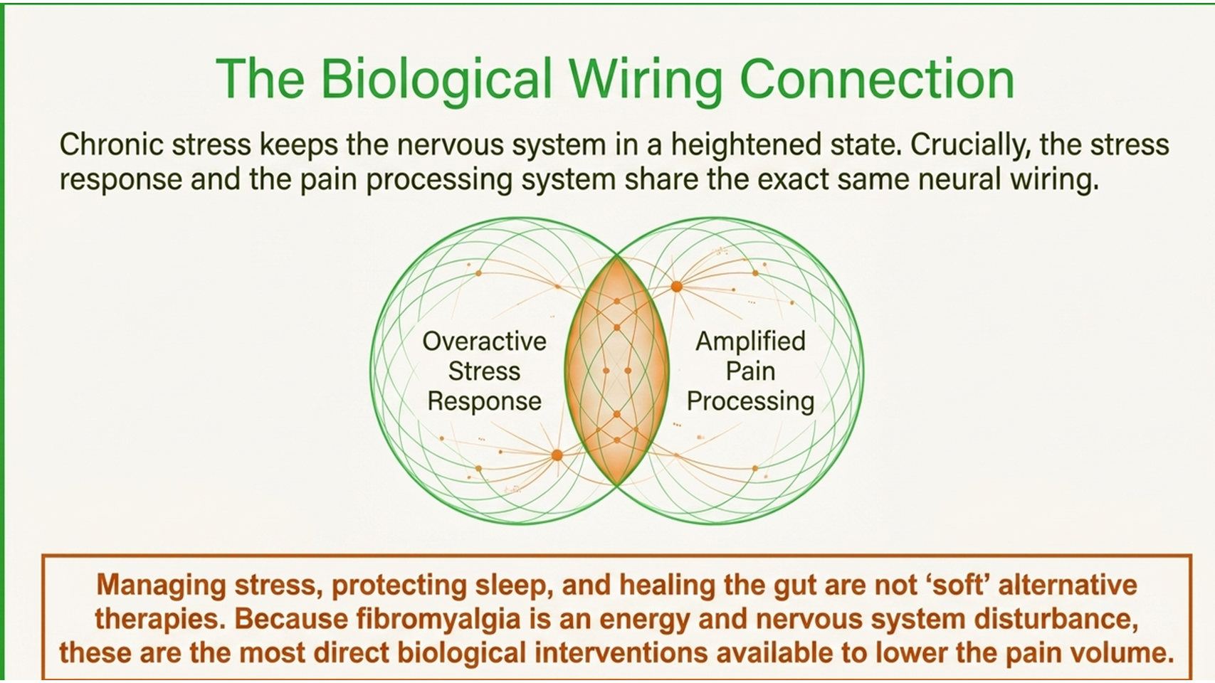 Fibromyalgia, stress and the biological wiring connection
