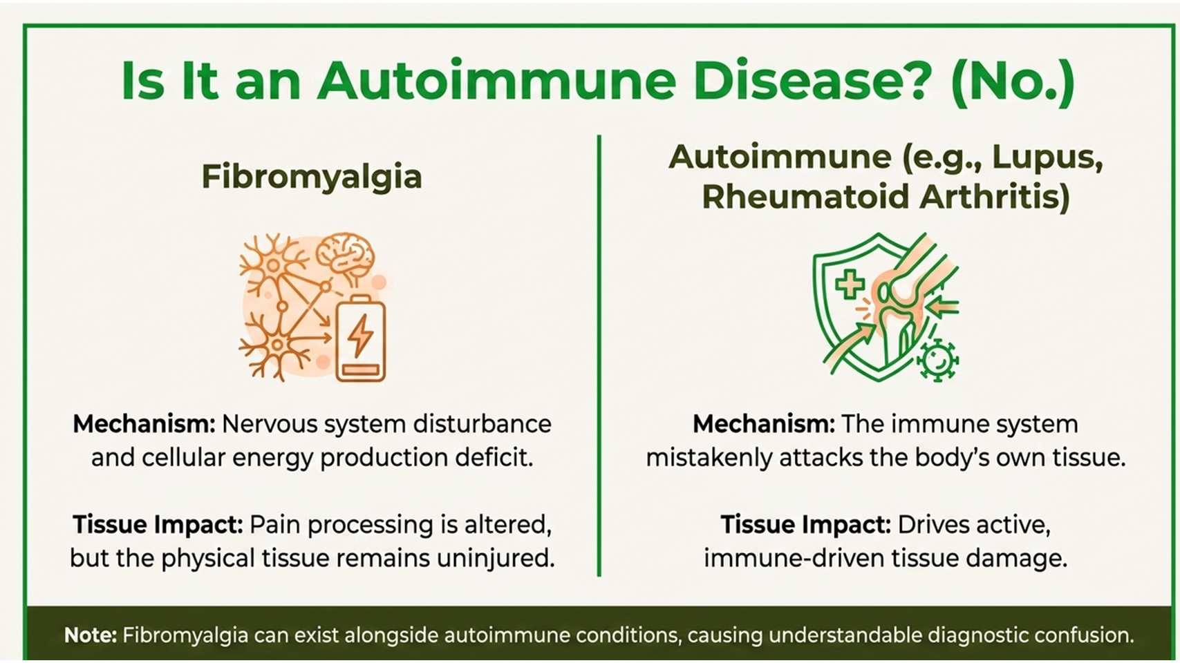 Is fibromyalgia an autoimmune disease