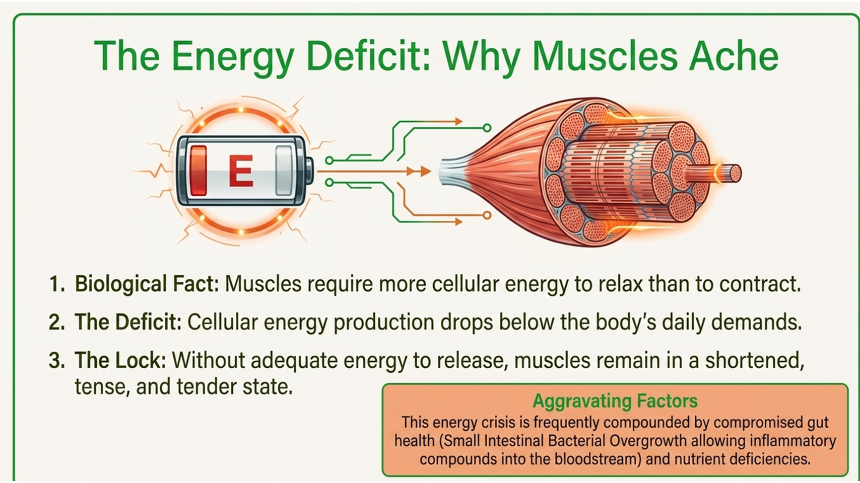 Fibromyalgia energy deficit, why muscles ache without enough cellular energy