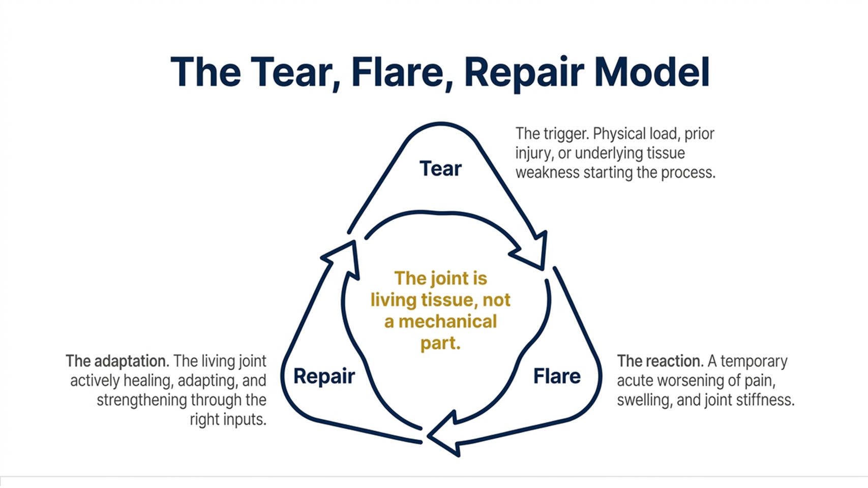 The tear, flare, repair model overview for osteoarthritis