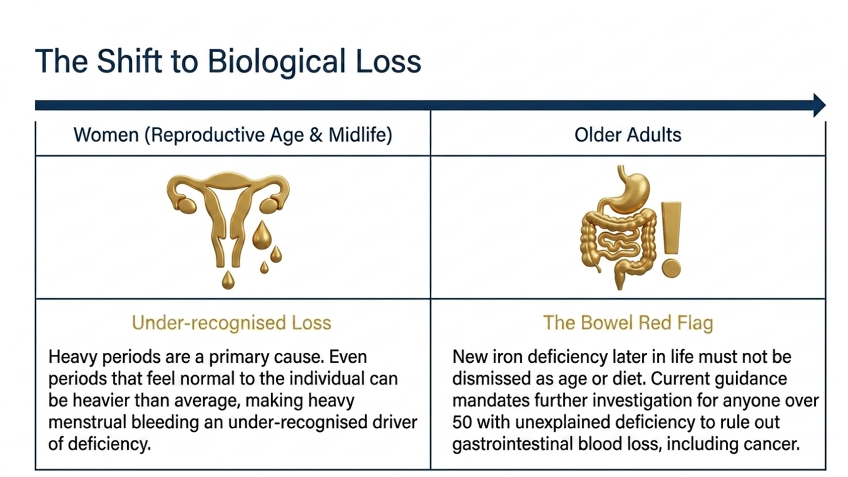 why is my iron low - causes in women and older adults