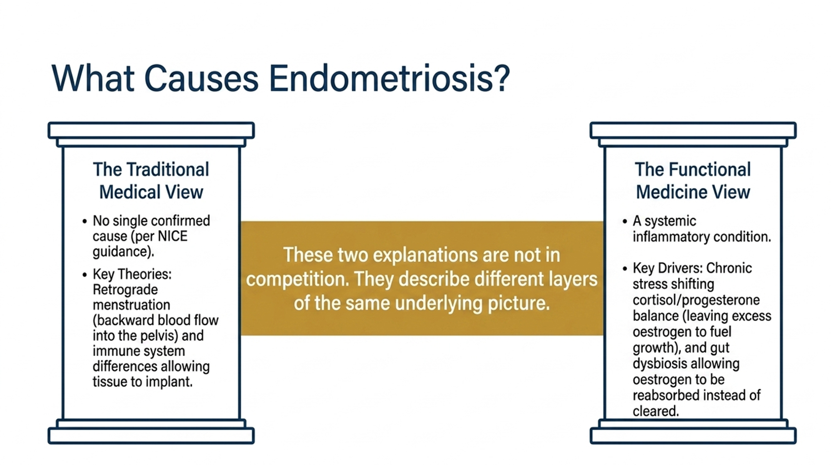 what causes endometriosis, traditional medical view and functional medicine view