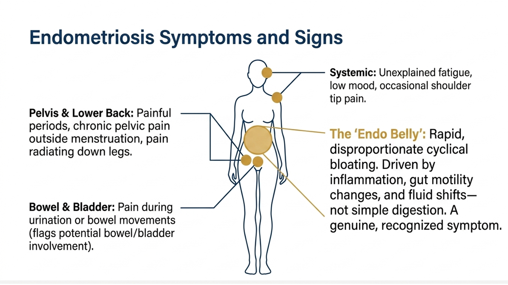 endometriosis symptoms and signs including endo belly and pain locations